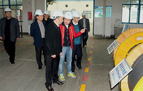 2015年11月22日，郎溪县党政代表团一行来尊龙凯时人生就是搏电缆旅行考察