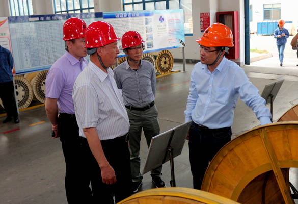 2016年5月14日，宁夏回族自治区人民政府研究室副主任苏昀一行来尊龙凯时人生就是搏电缆调研