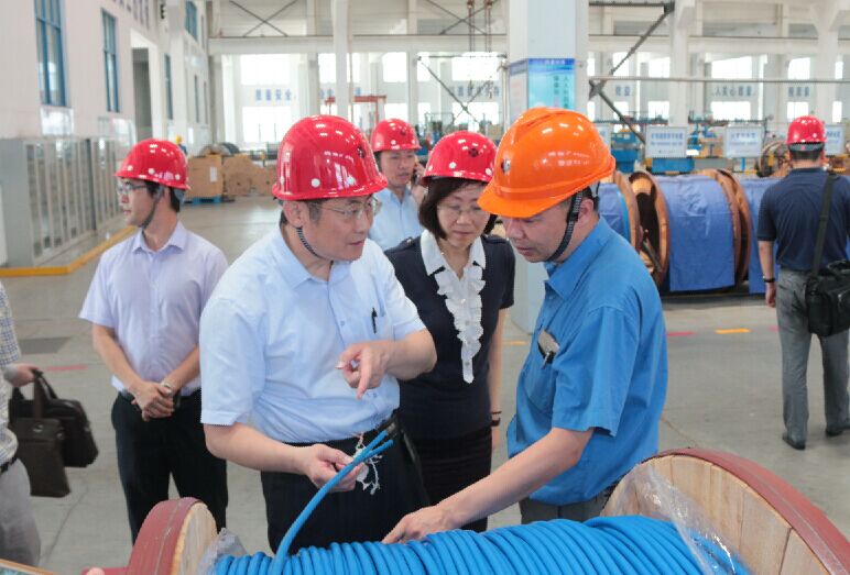 2016年7月22日，泸州市委常委、副市长王建翔一行来尊龙凯时人生就是搏电缆旅行考察