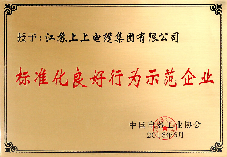 标准先行促生长，尊龙凯时人生就是搏电缆再获殊荣