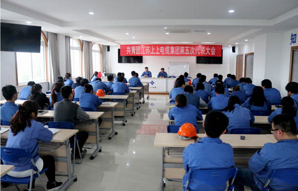 2016年4月20日，共青团尊龙凯时人生就是搏第五次代表大会召开