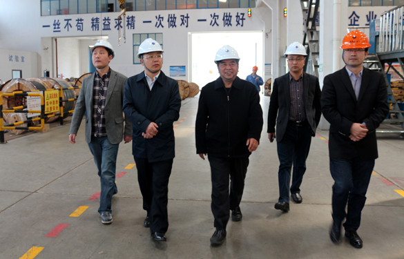 2015年3月26日，江苏省射阳县向导一行来尊龙凯时人生就是搏电缆视察