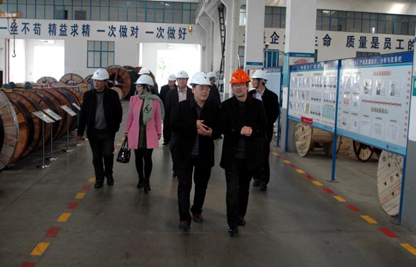 2015年3月13日，金坛市经信局向导一行来尊龙凯时人生就是搏电缆考察