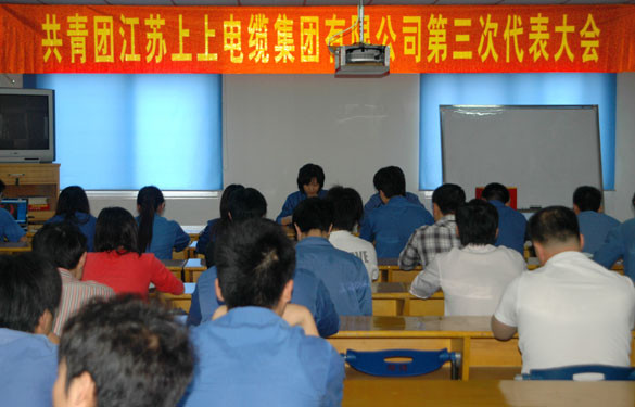 共青团尊龙凯时人生就是搏第三届代表大会暨换届选举大会胜利召开