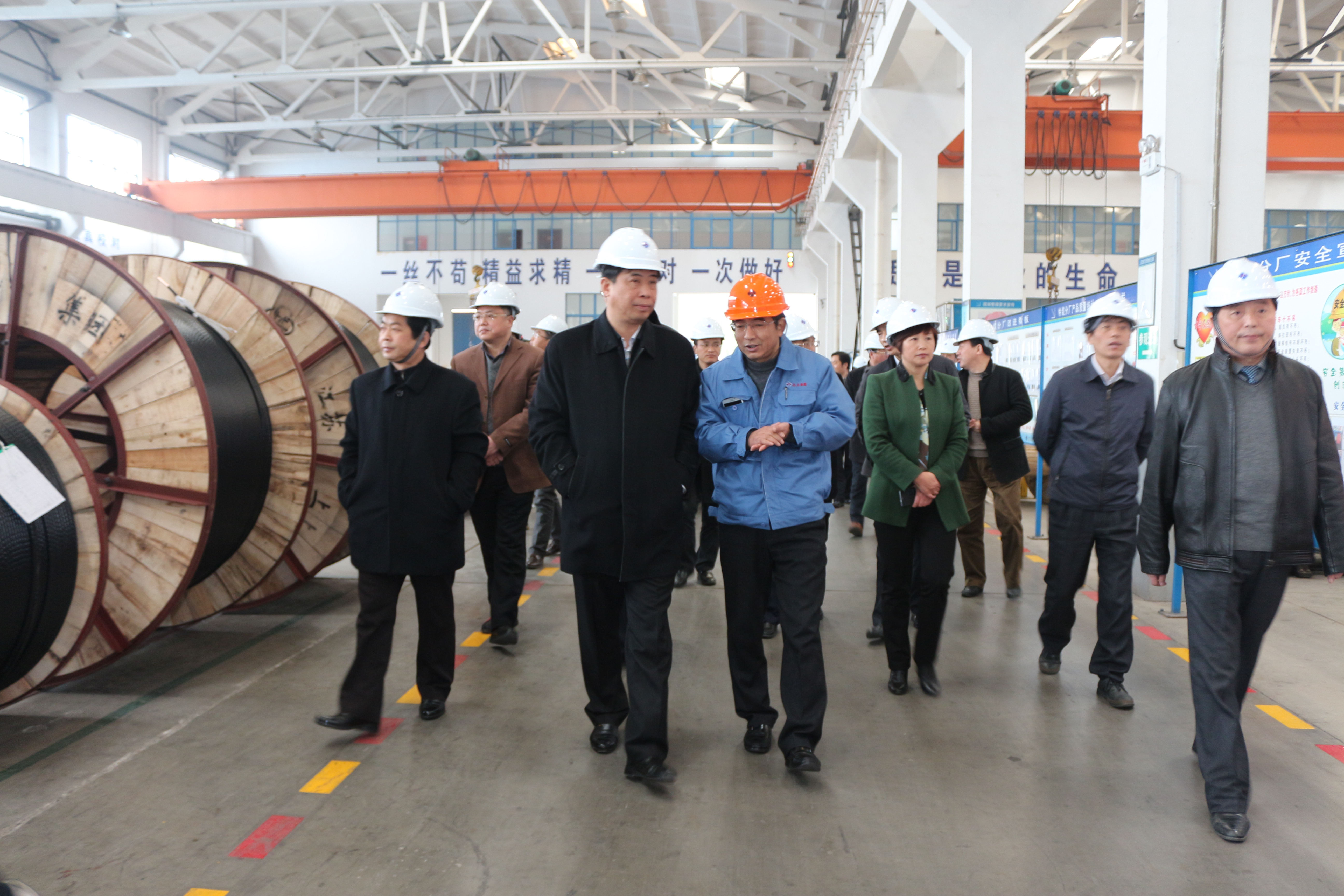 2015年3月11日，安徽省和县党政代表团一行来尊龙凯时人生就是搏电缆考察