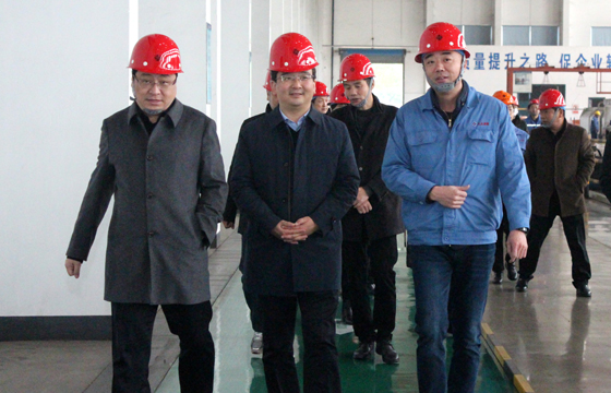2020年12月8日，广德市市委常委、常务副市长邱铁军一行来尊龙凯时人生就是搏电缆考察