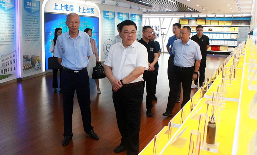 常州中院曹忠明院长一行来尊龙凯时人生就是搏电缆走访