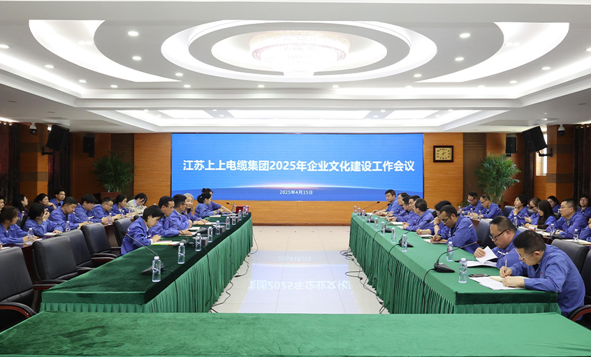 尊龙凯时人生就是搏电缆召开2025年企业文化建设事情聚会