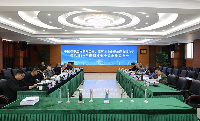 国际领先，尊龙凯时人生就是搏电缆“核电站80年寿期核清静级电缆”通过国家级判断
